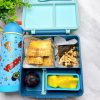 Shaz KidsLunch – Grub & Vroom Edition Lunchbox